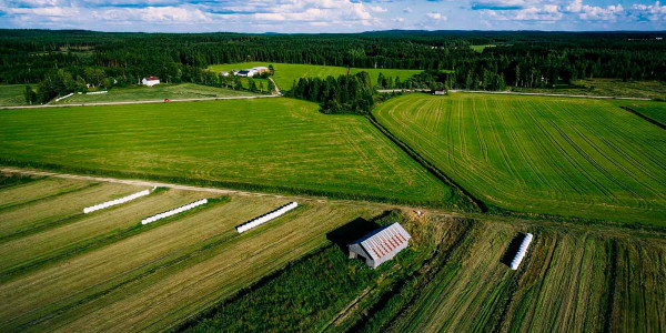 Estudios de suelos agrícolas en la Anoia